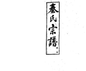 2262秦氏宗譜（片卷号：2_2-5_1）_008