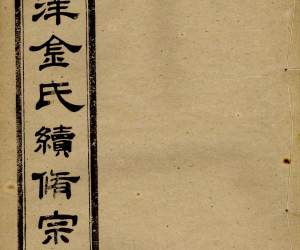 1379水洋云浦金氏续修宗谱_028