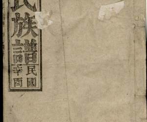 1369丁氏族谱_009
