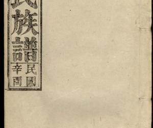 1369丁氏族谱_006