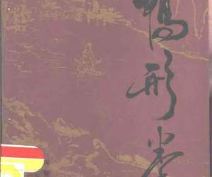 鸭形拳