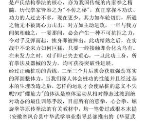 卢氏结构拳法