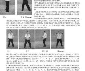 武当太乙隐仙派中的混元抟气桩是通过顺