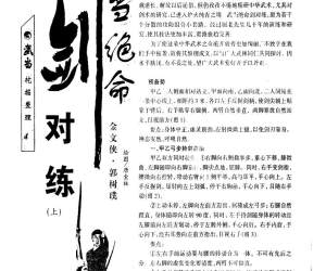 武当绝命剑对练（上）