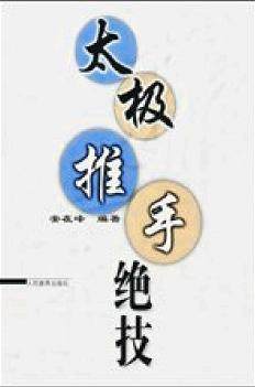 太极推手绝技（安在峰）