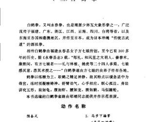 白鹤拳