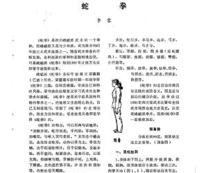 蛇拳